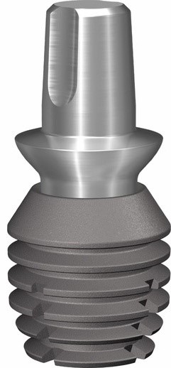 Bicon Implant